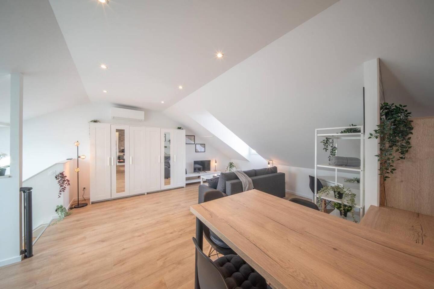 Superbe Appartement Climatise Parking Free Special Eurovision Mulhouse Extérieur photo